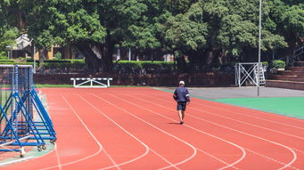 重庆医药科技学校，培育健康未来的摇篮