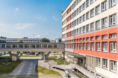 福建师范大学在全国高校中的排名地位